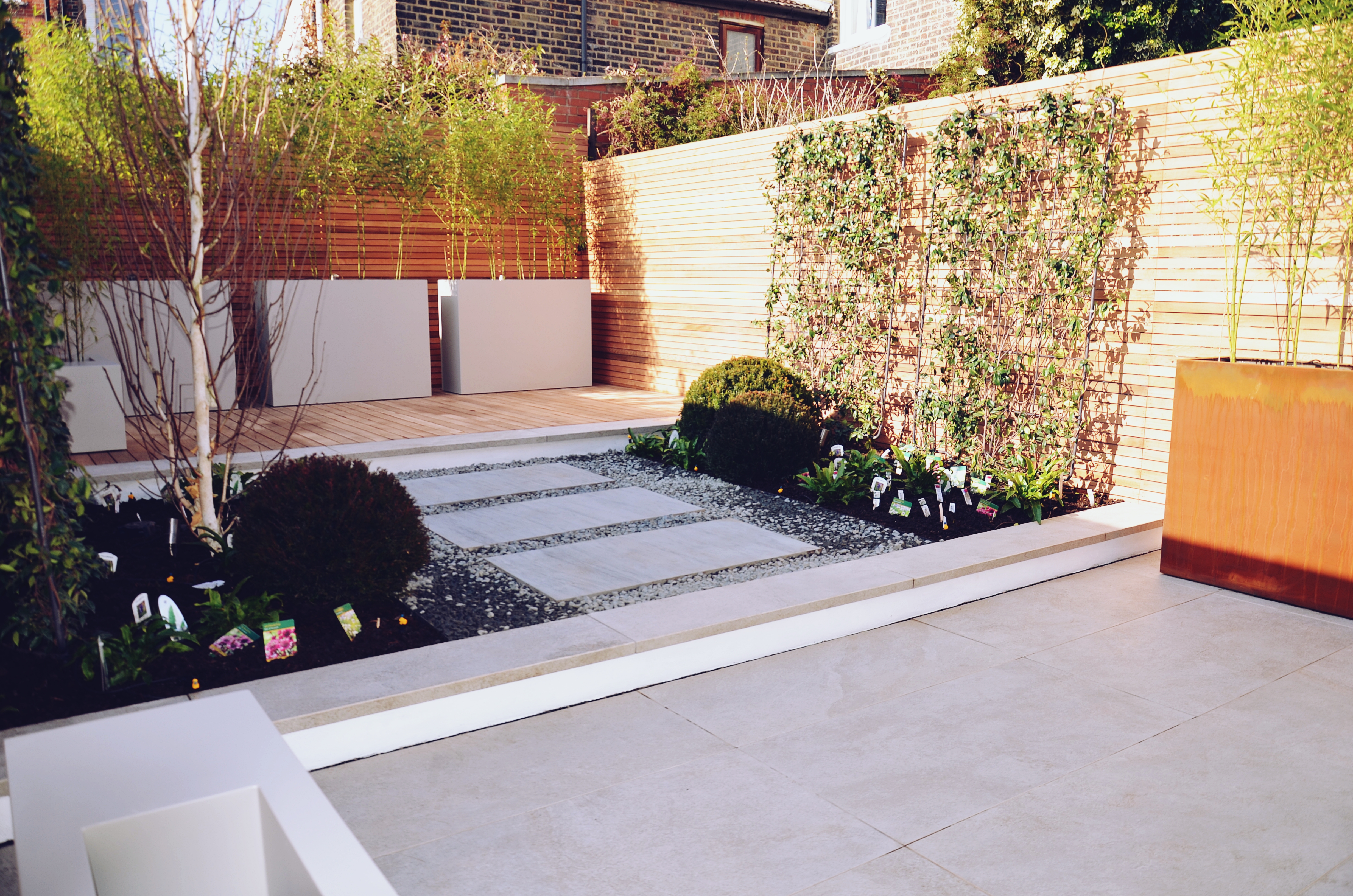 Garden builders Anewgarden Modern contemporary style London jasmine living wall