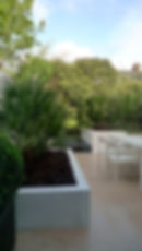 modern london garden design and planting anewgarden