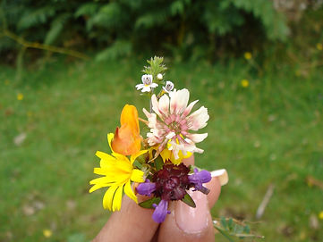Collecting Flowers at foxwood Cottage.jpg