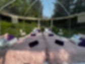 IMG_0277.JPEG