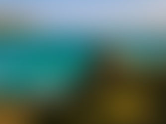 Homem em rocha à beira-mar olhando o oceano turquesa, com falésias verdes ao fundo sob céu limpo.