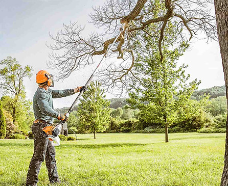 Tree Pruning in Charlotte NC