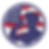 Veteran Logo Transparent