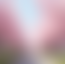 Exploring Japan: A Travel Scrapbook Journey