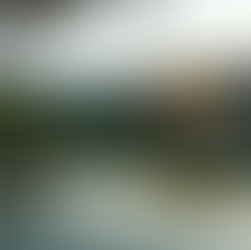 My Favorite Travel Stories: Japan and Beyond