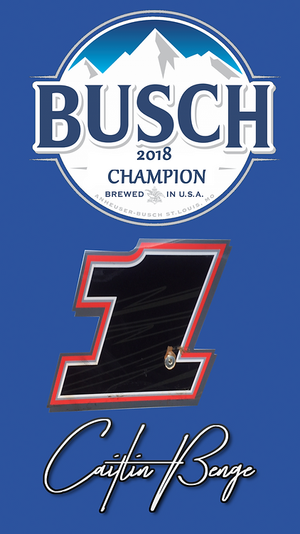 2018 Busch.png