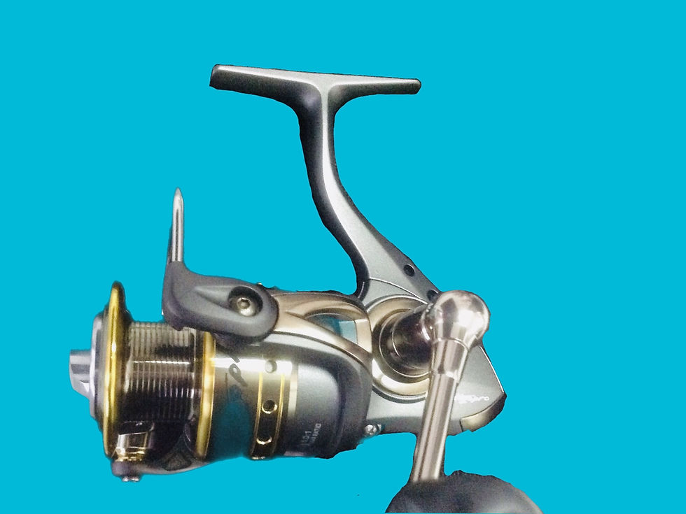 Thumbnail: H2Oprocasting reel