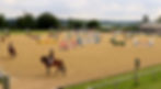 FieldHouseMarchington_Homepage_Showing.jpg
