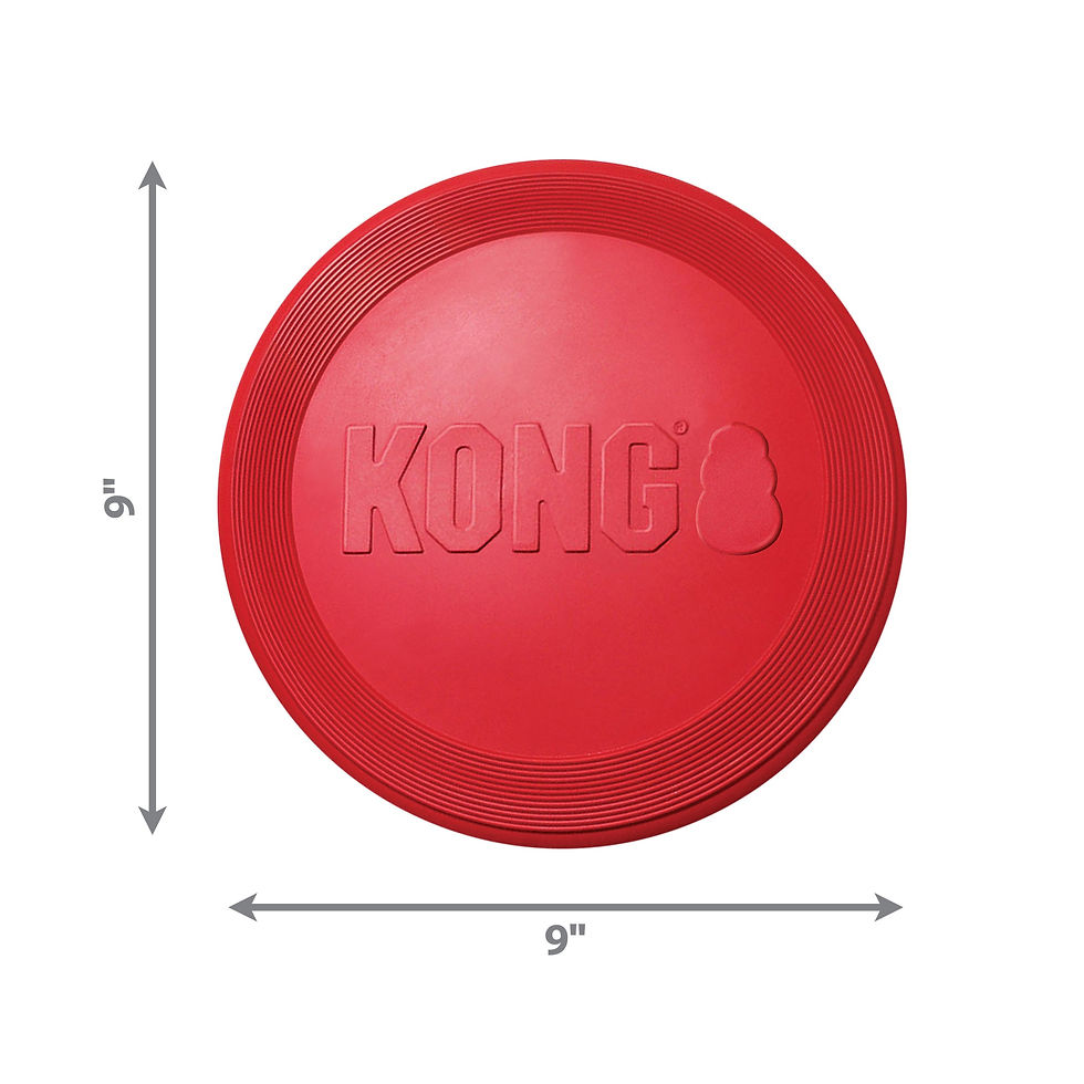 Thumbnail: Kong Classic Flyer