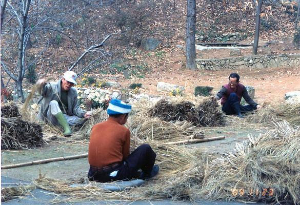 짚으로 구유 지붕을 엮는 마을가족들 모습 (1989년).jpg