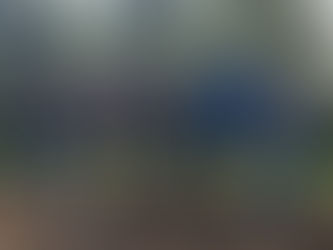 시민정원사 식목행사