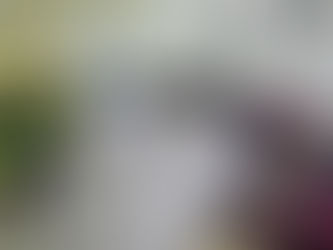 예장 로타리클럽&숙명여대 로타렉트 봉사활동