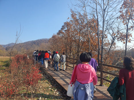 성라자로마을 직원 가을소풍