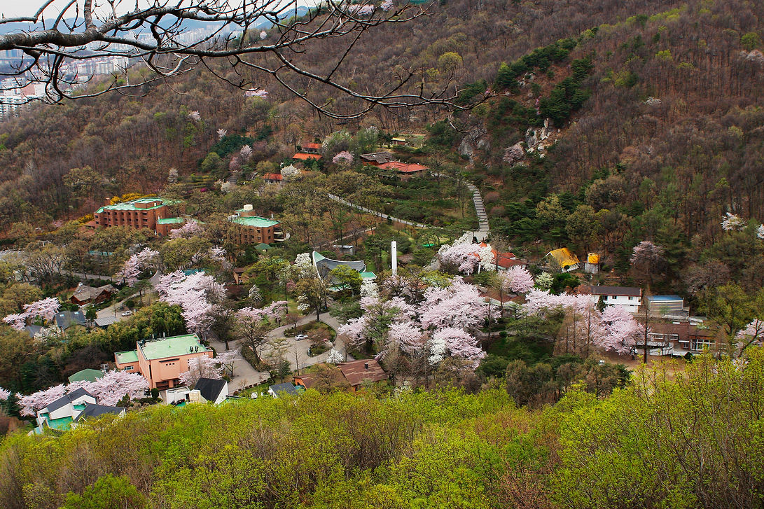 라자로마을 봄전경(수정).jpg