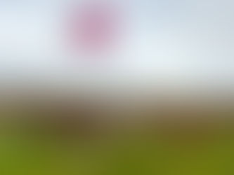 Southern Flavour Meets Savannah History: An Opening Night at Old Fort Jackson