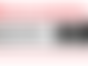 Run for a seat on the Central San Pedro Neighborhood Council.  