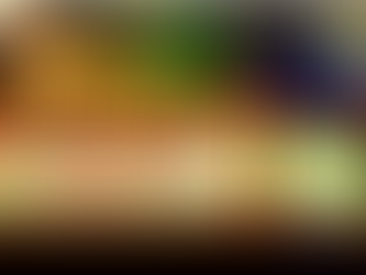 Reaching Out to the Neighborhood Councils