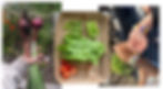 EnrichLA's 2024 Garden Ranger Program at San Pascual Elementary