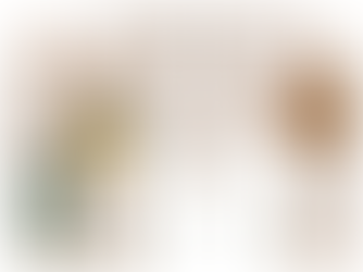 Nueva sección "Galería de Fotos"