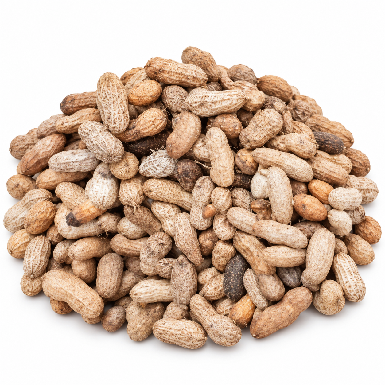 Cacahuètes africaines en coque, en vrac – 1 kg