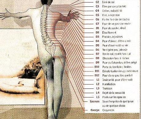 Massage Polarité et maux de dos