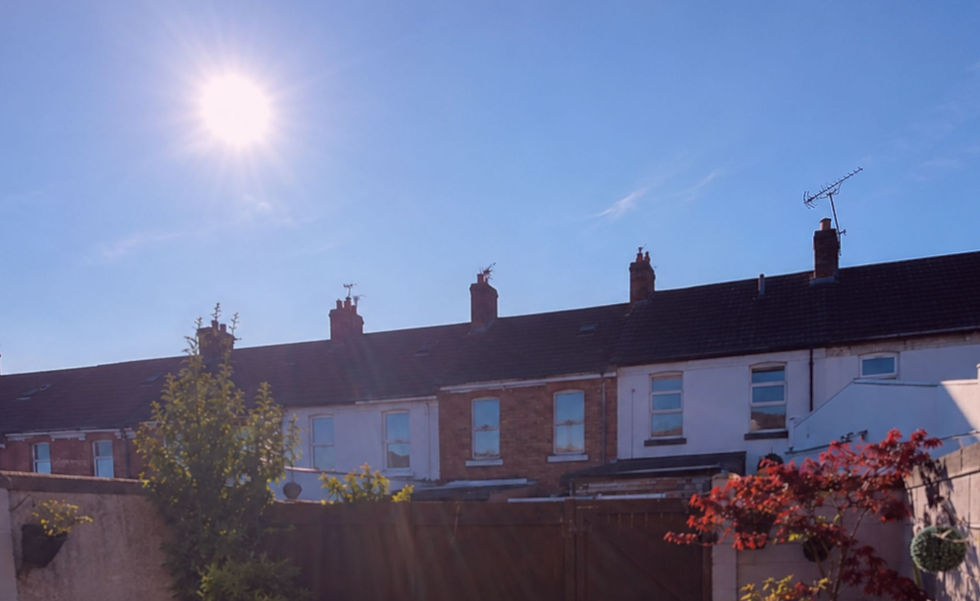 A sunny back garden in Belfast