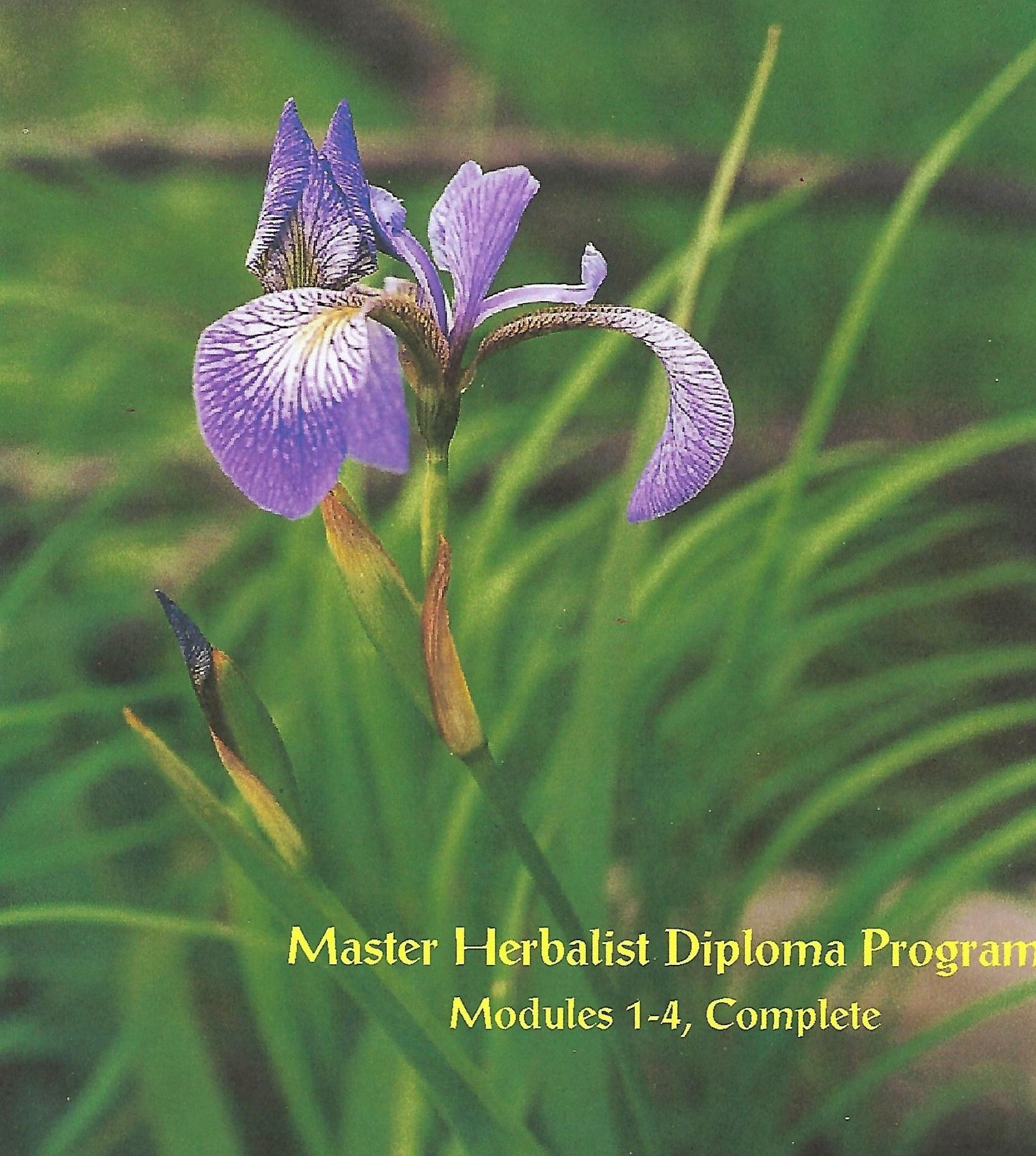 Master-Herbalist Diploma Program, Modules 1-4, Complete
