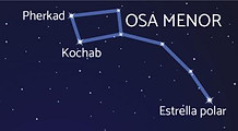 osa menor.jpg