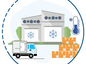 Are Partial Home Shifting Services Worth It for Small Families? A Practical Breakdown