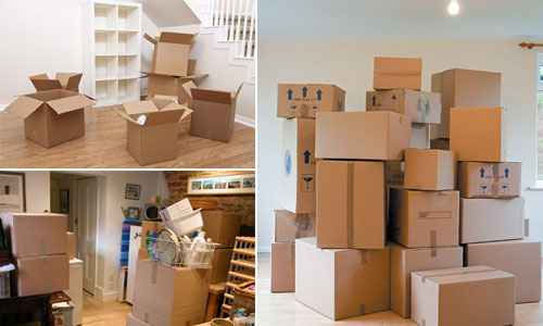 Right Way to Review The Packers and Movers in Mumbai