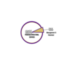 RTSM (1).png