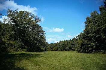 IMG_3040.jpg