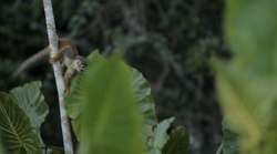 Captura de pantalla 2014-11-06 a la(s) 2.15.59 PM.png