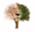 Silhouette of a lion formed on the tree. Tree lion..jpg