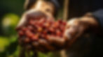 harvesting-coffee-with-beans-cradled-hand.jpg