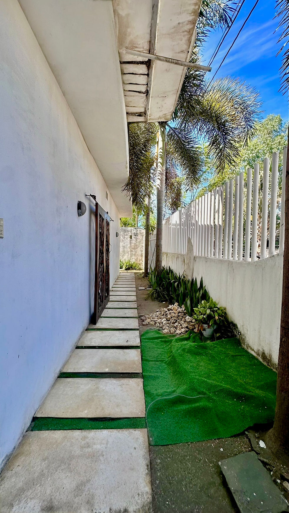 Photoroom_020_20260115_203345