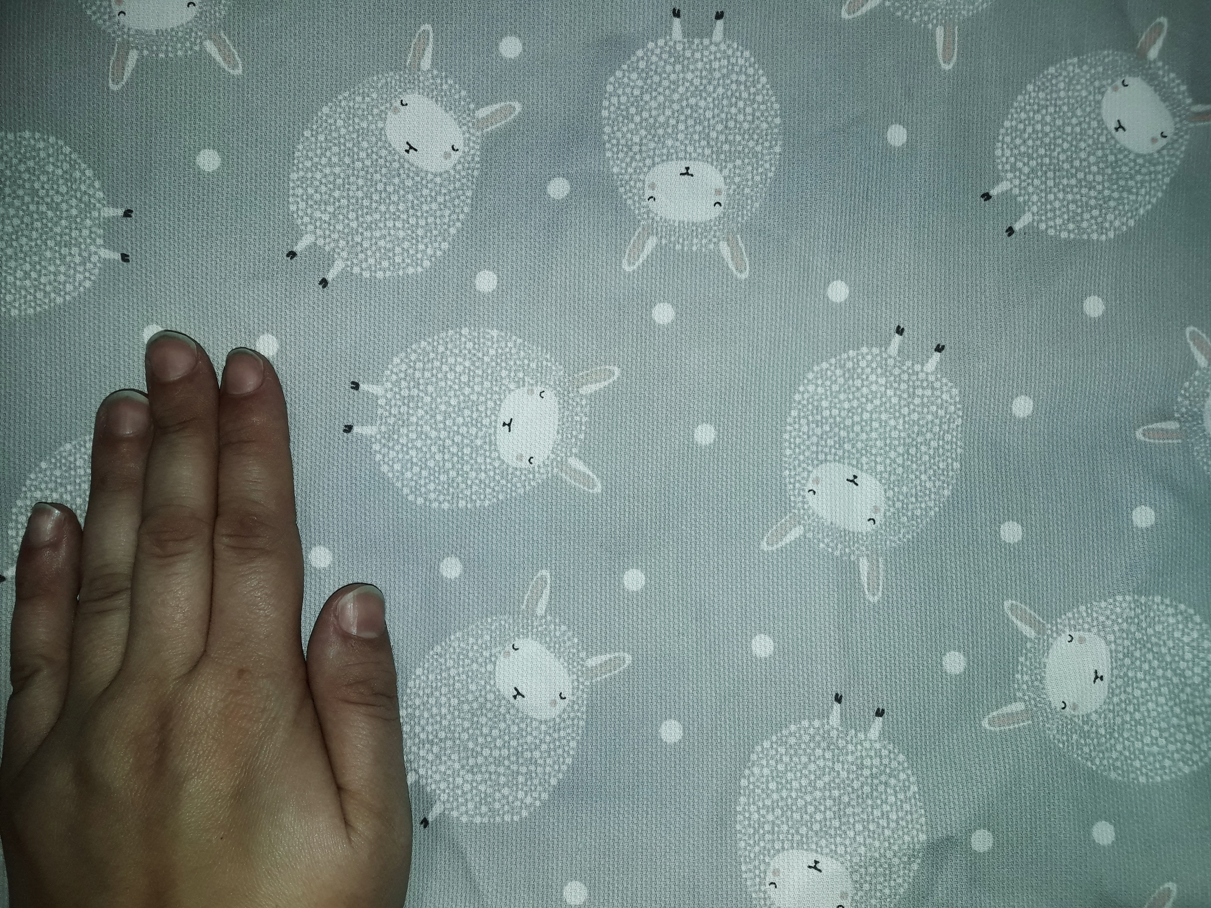 Ovejas en gris