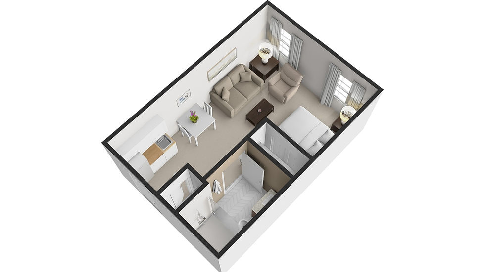 Studio Suite 333 Square Feet - 3D Layout