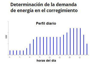 proceso.JPG