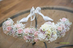 DS-Image80-500x333