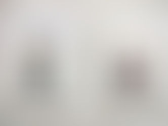 インスタグラム(2)