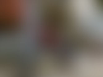 紅葉、そして・・・冬へ