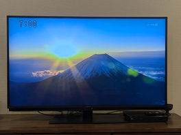 今年は・・・も？