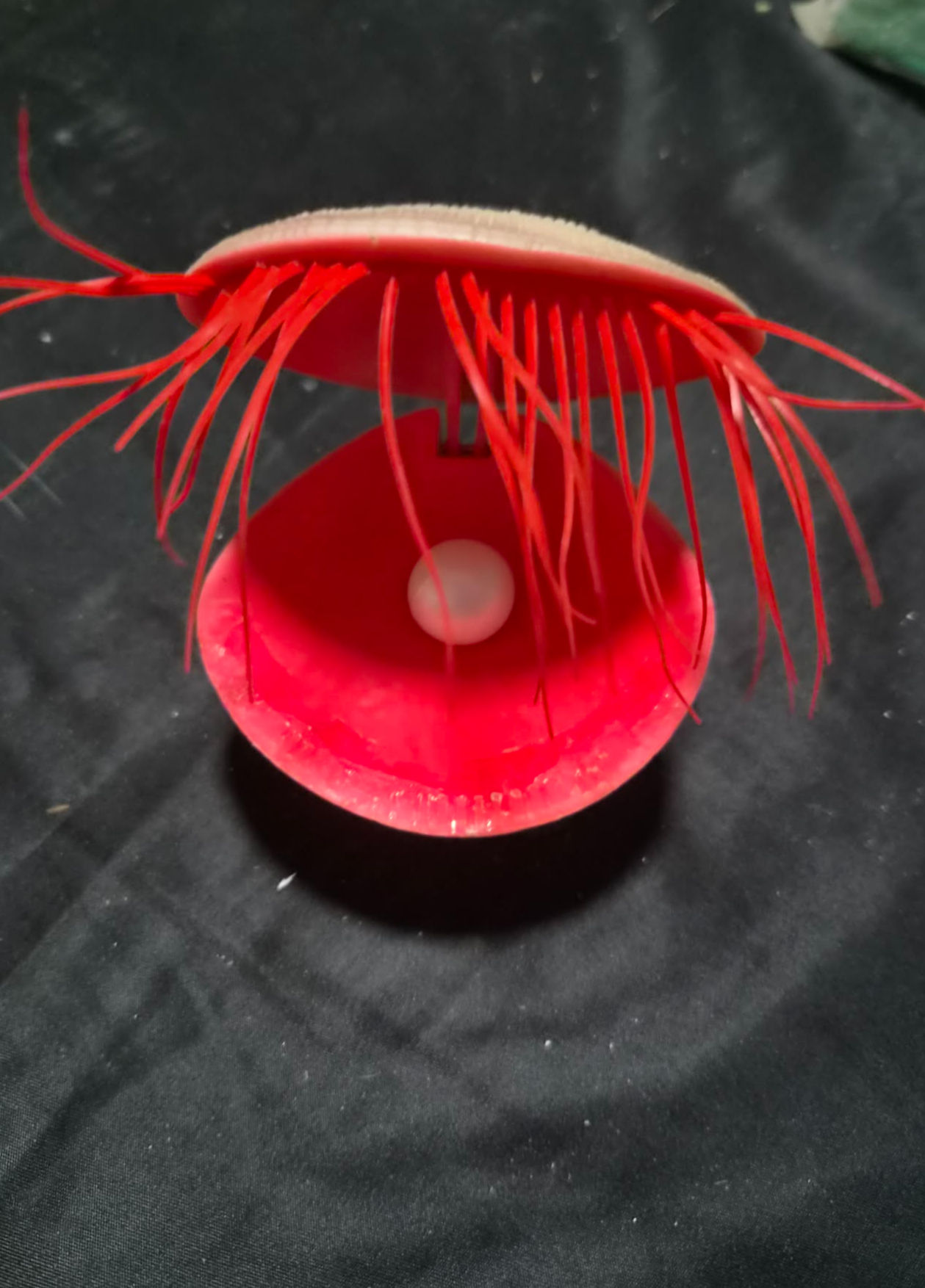 Clam/shellfish Ornament