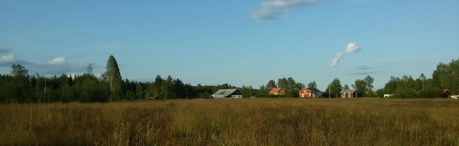 20190725_201134.jpg
