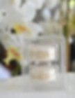 Pearl Macarons in Favor Box.jpg