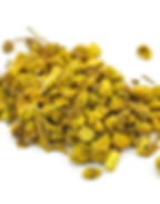 Goldenseal Root