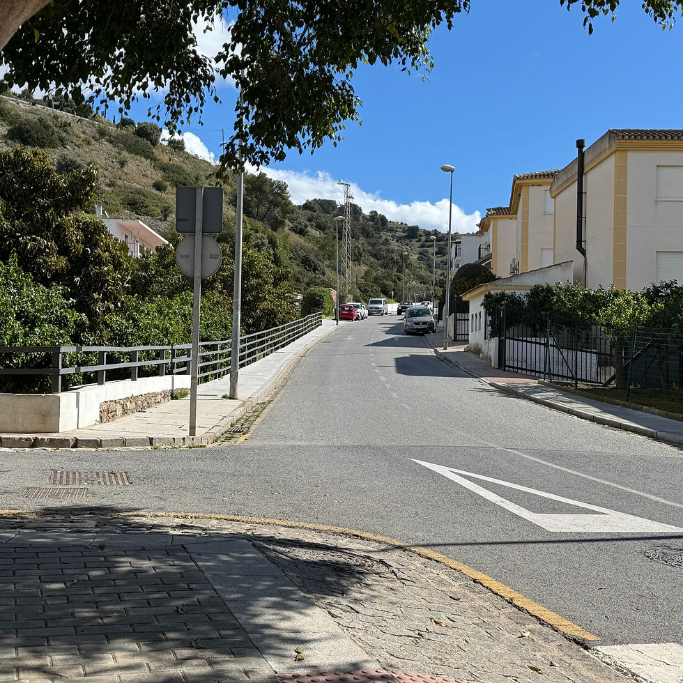 Quiet street with a slight incline, lined with green shrubs and trees. Blue sky with clouds overhead. A few parked cars are visible.