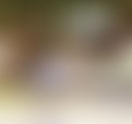 Helfen wirkt Wunder... // Hallo Twint