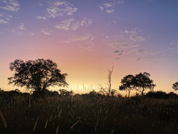 Wilderness – Ein Gedicht von Ian McCallum